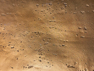 Close up of brown gold earthy mud with natural holes and pores. Random earth color gold uneven surface seamless background texture.