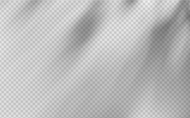 Abstract shadow overlay from foliage on a transparent background.