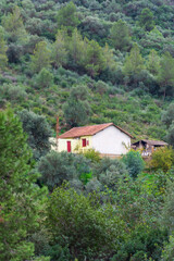 Small house in the forest in Tizi Ouzou, Algeria