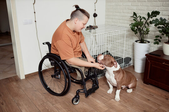 Boy in wheelchair stroking dog at home