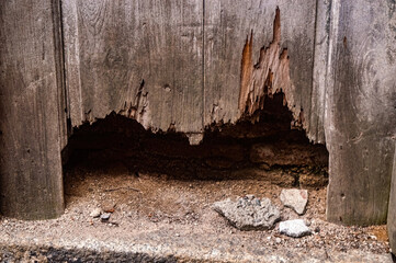 A close up of a weathered wooden fence with significant rot and decay at the bottom, revealing the ground and debris beneath
