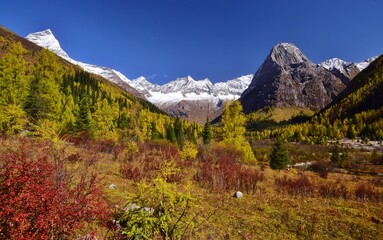 四川省　四姑娘山・双橋溝ハイキング