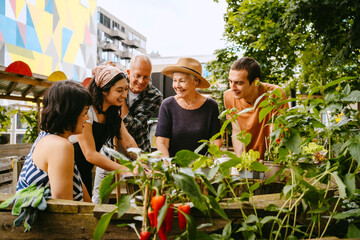 Small group of people socializing and gardening in an urban community garden.