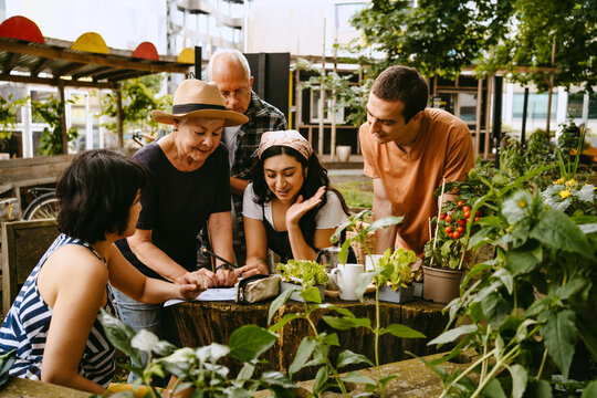 Small group of people discussing urban gardening in a community garden.