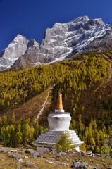 四川省　四姑娘山・双橋溝ハイキング