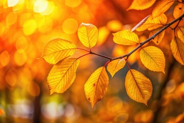 Obraz premium Autumn Leaves Bokeh Photography, Yellow Leaf Tree Branch, Fall Foliage Background, Nature Macro Shot, Soft Focus, Blurred Background