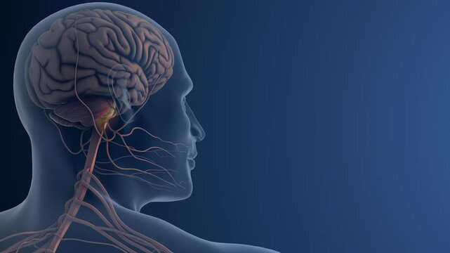 Facial Nerve Pain or Trigeminal Neuralgia