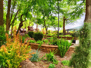 Naklejka premium Vibrant garden filled with lush greenery and colorful plants in a tranquil outdoor setting