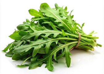 Fresh Arugula, Green Arugula Leaves, Organic Arugula, Salad Arugula, Healthy Arugula, Bundle of Arugula, Arugula Isolated, White Background Arugula