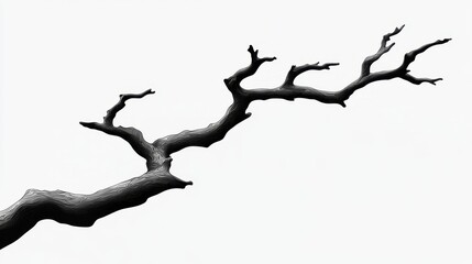 Abstract Black and White Design of a Tree Branch on White Background