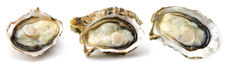 Fresh opened oyster on white background