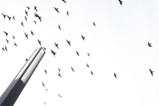Flock of birds flying over a modern building in Berlin, Germany.