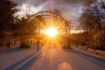 Sunset view in Westpark, Munich during spring with nobody present