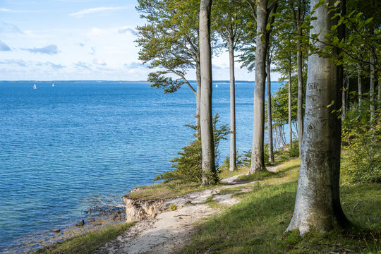 Scenic view of forested coastline along the Gendarmstien hiking trail on the Island of Als in Denmark