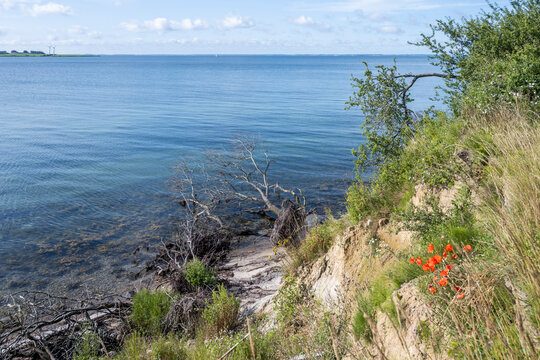 Scenic view of the coastline on the island of Als in Denmark along the Gendarmstien hiking trail