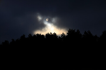 Dark forest silhouette with a cloudy night sky and moon.