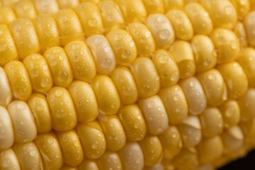 peeled corn cob with yellow and white seeds of different sizes and shades
