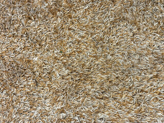 Close up of carpet rug flooring in shades of brown, gold, and beige color. Seamless modern minimalist golden brown rug texture with long tuft. Suitable for living room floor.