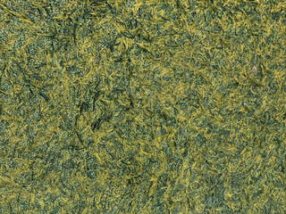 Carpet flooring texture made of dried and stored green grass. Grass carpet seamless background texture.