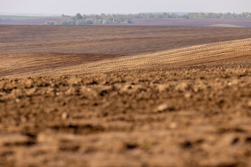 fertile soil in spring during the preparation for sowing