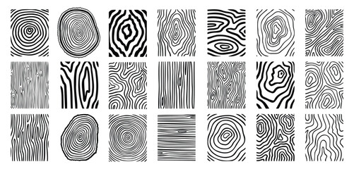 Wood lines texture material doodle hand drawn line set. Rings and circles tree trunk geometric curve, wave contour.  © Yanka