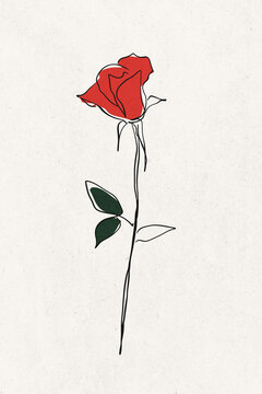 Minimalist line art drawing of a single red rose with a stem and two leaves, isolated on a white background.