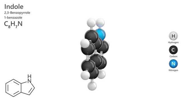 Indole. Aromatic heterocycle. Animated 3D model of a molecule. Molecular formula: C8H7N. Chemical model: Ball and stick. White background. 3D rendering. Seamless loop.