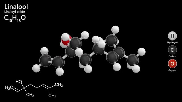Linalool. Terpene alcohol. Animated 3D model of a molecule. Molecular formula: C10H18O. Chemical model: Ball and stick. Black background. 3D rendering. Seamless loop.