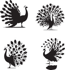 Elegant Peacock Silhouettes Collection