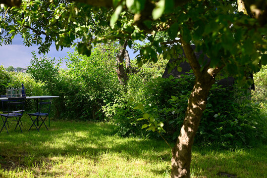 Tranquil garden setting with a resting place under apple and pear trees in Altes Land, Hamburg