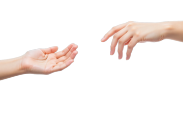 Two hands white background relaxed extended skin tones gestures