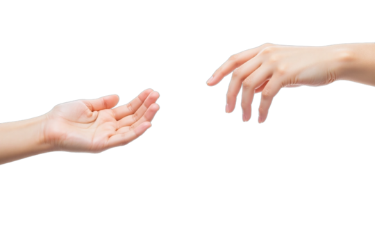 Two hands white background relaxed extended skin tones gestures