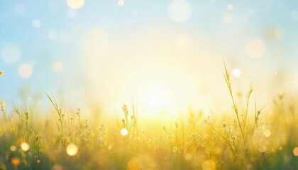 Obraz premium Beautiful Sunlit Meadow with Dew Drops Sparkling in Morning Light Background