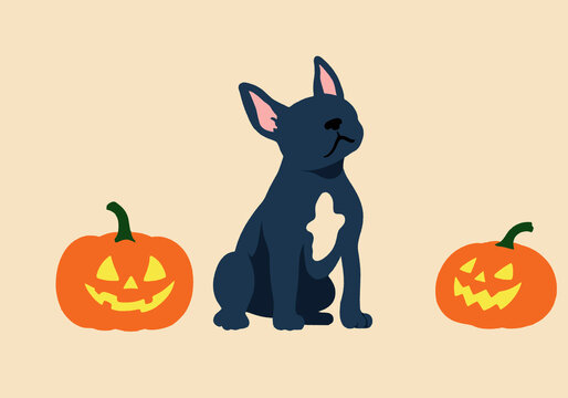 Illustration of a black dog sitting between two jack-o'-lanterns on a beige background