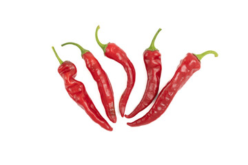 Red chili peppers on a white background