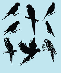 Fototapeta premium A vector illustration featuring a collection of nine black parrot silhouettes in various poses