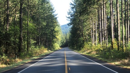 A paved road goes through a dense forest.