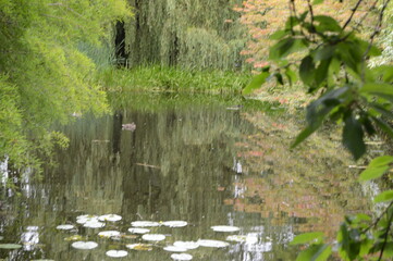 Lakes at Cambridge Botanic Gardens