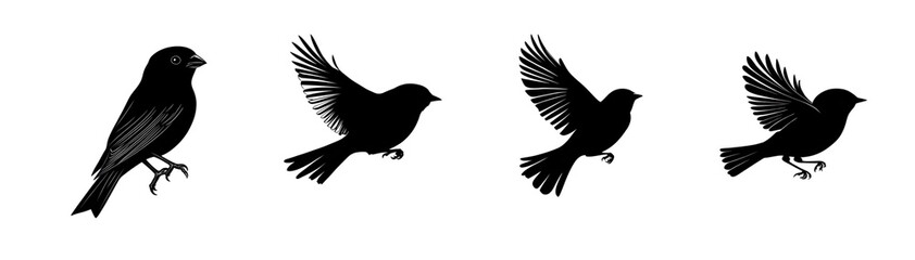 Fototapeta premium Silhouettes of black birds in various flying poses against a white background.