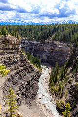 Fototapeta premium A river runs through a canyon with trees on either side