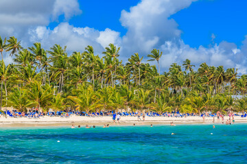 Obraz premium A beach with palm trees and people enjoying the water