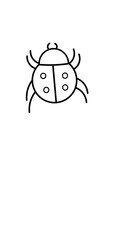 Ladybug icon