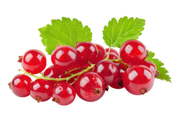 High Resolution Image of Fresh Red Currants Isolated on a White Background for Culinary and Artistic Use