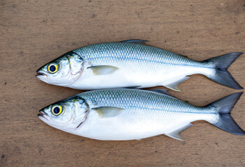 Obraz premium Two silver fish with blue and yellow markings on a wooden surface