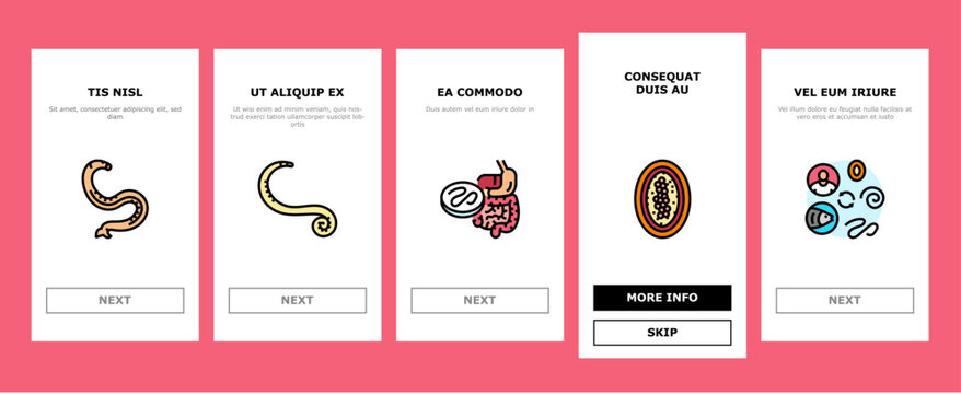 helminth worm parasite roundworm onboarding mobile vector dog tapeworm, heart helminth ascaris, internal cat, nematode pet, pinworm giardia helminth worm parasite roundworm illustrations