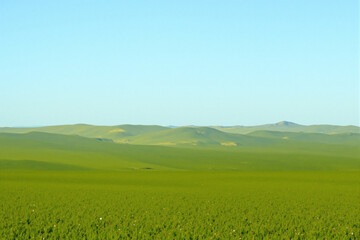 Fototapeta premium Rolling Hills