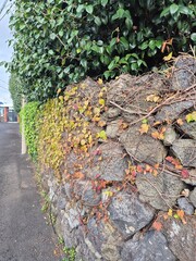 stone wall