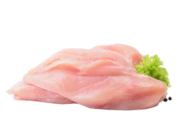 Raw chicken meat isolated