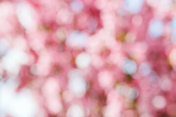 Pink Bokeh Lights as Soft Pastel Background, Abstract spring flowering, natural flare from lights, ...