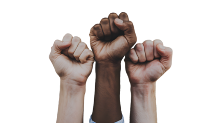 Three Fists of Unity: A Symbol of Diverse Solidarity